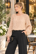Champagne Dreams Textured Fringe Long Sleeve Blouse