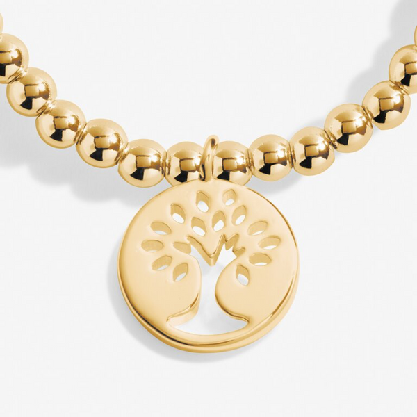 A Little ‘Family’ Bracelet in Gold