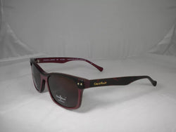 Cole Haan Tortoise Wine Sunglases