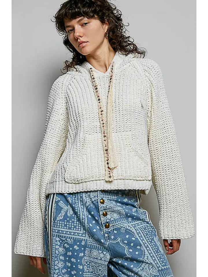 Sunday Soft Chenille Knit Hooded Sweater
