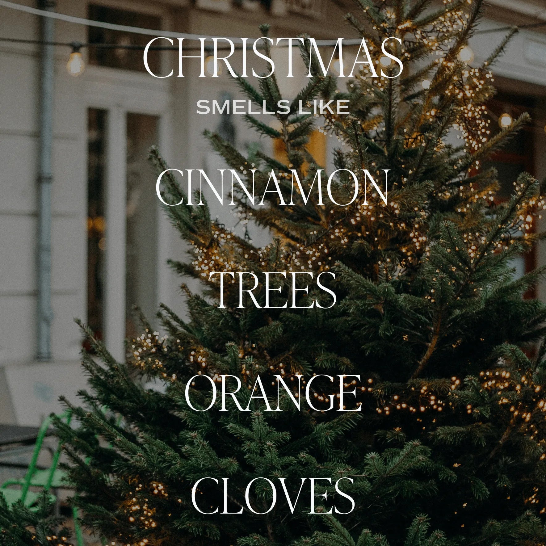 Christmas 12 oz Soy Candle - Christmas Home Decor & Gifts - Heritage - Boutique.com