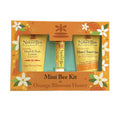 Naked Bee Mini Bee Kit - Orange Blossom Honey - Heritage - Boutique.com