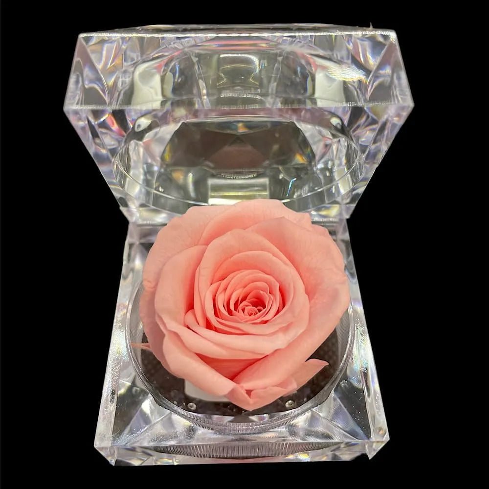 Natural Preserved Scented Roses - Heritage - Boutique.com