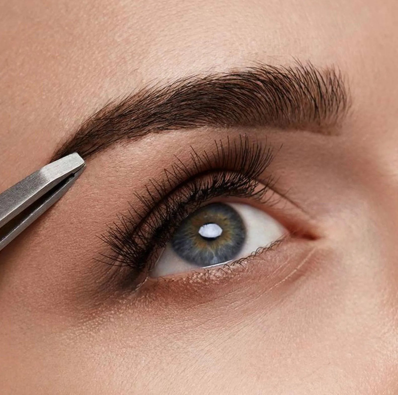 Brow Clean - Up (2+ months) - Heritage - Boutique.com