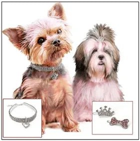 Jaqueline Kent Crystal Dog/Cat Collar - Heritage - Boutique.com