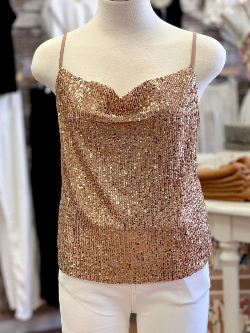 Let's Shimmy Sequin Top - Heritage-Boutique.com